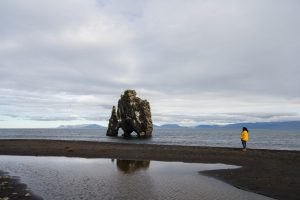 Troll in Water